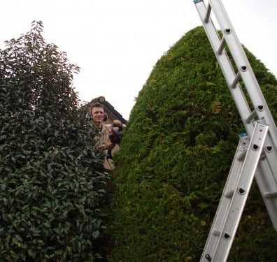 Hagen en heggen scheren